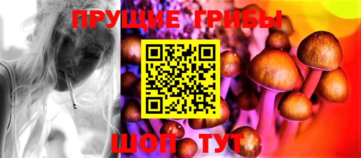 купить   Галлюциногенные грибы ЛСД  Вход с VPN  Нижний Новгород 