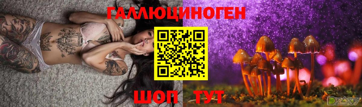 Псилоцибиновые грибы Psilocybine cubensis Нижний Новгород